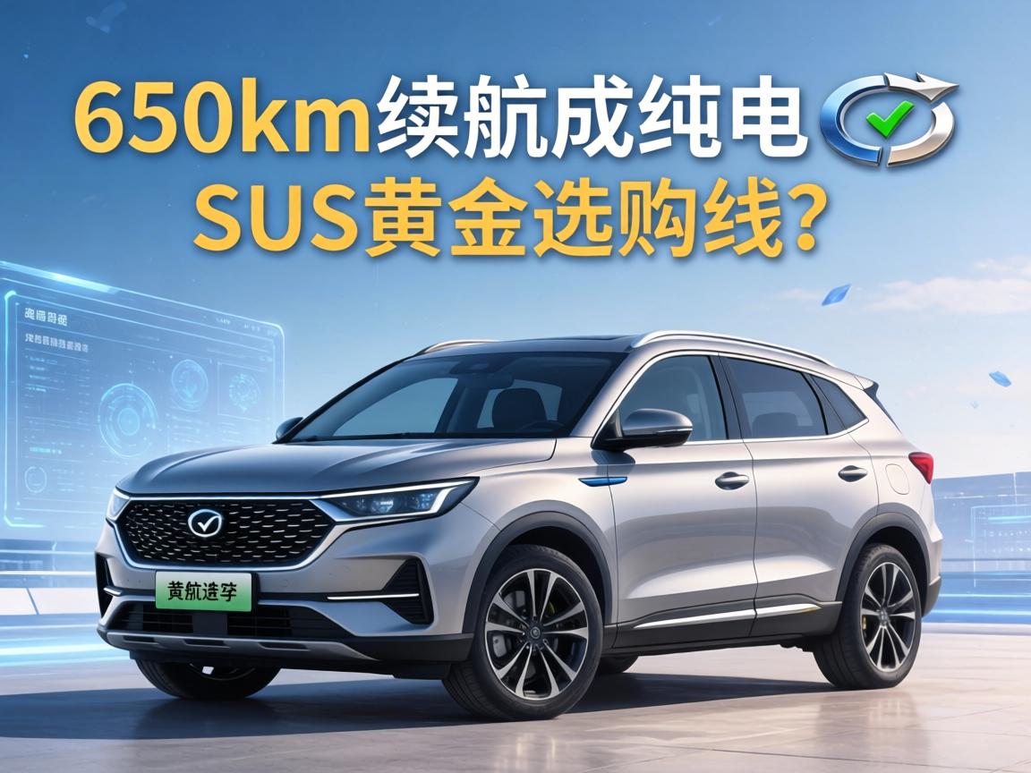 650km续航成纯电SUV黄金选购线?